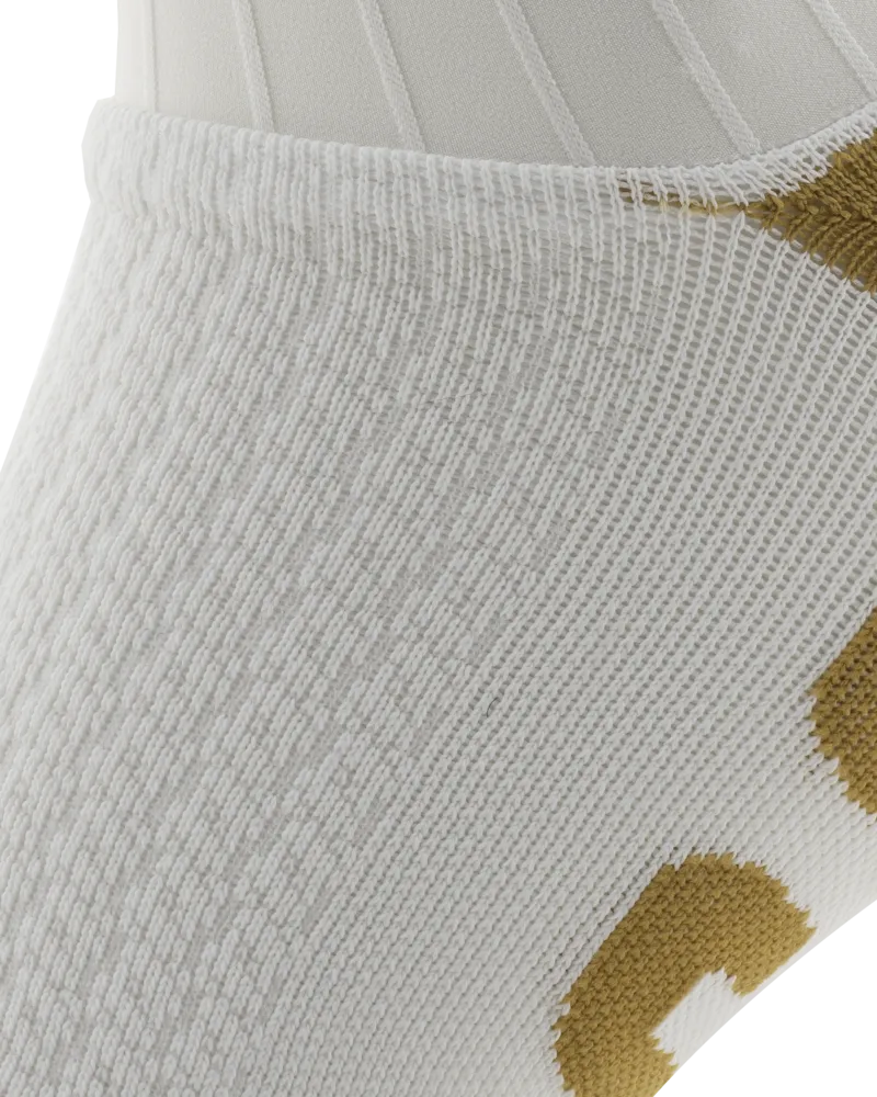 Fastest sock on the planet 468 aero socks