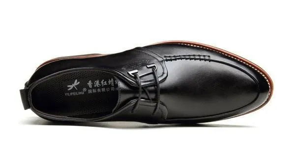 Men Dress Shoes, Lace-Up Office Shoes, Black, Brown