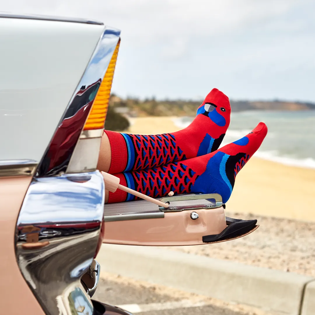 Rosella Crew Socks