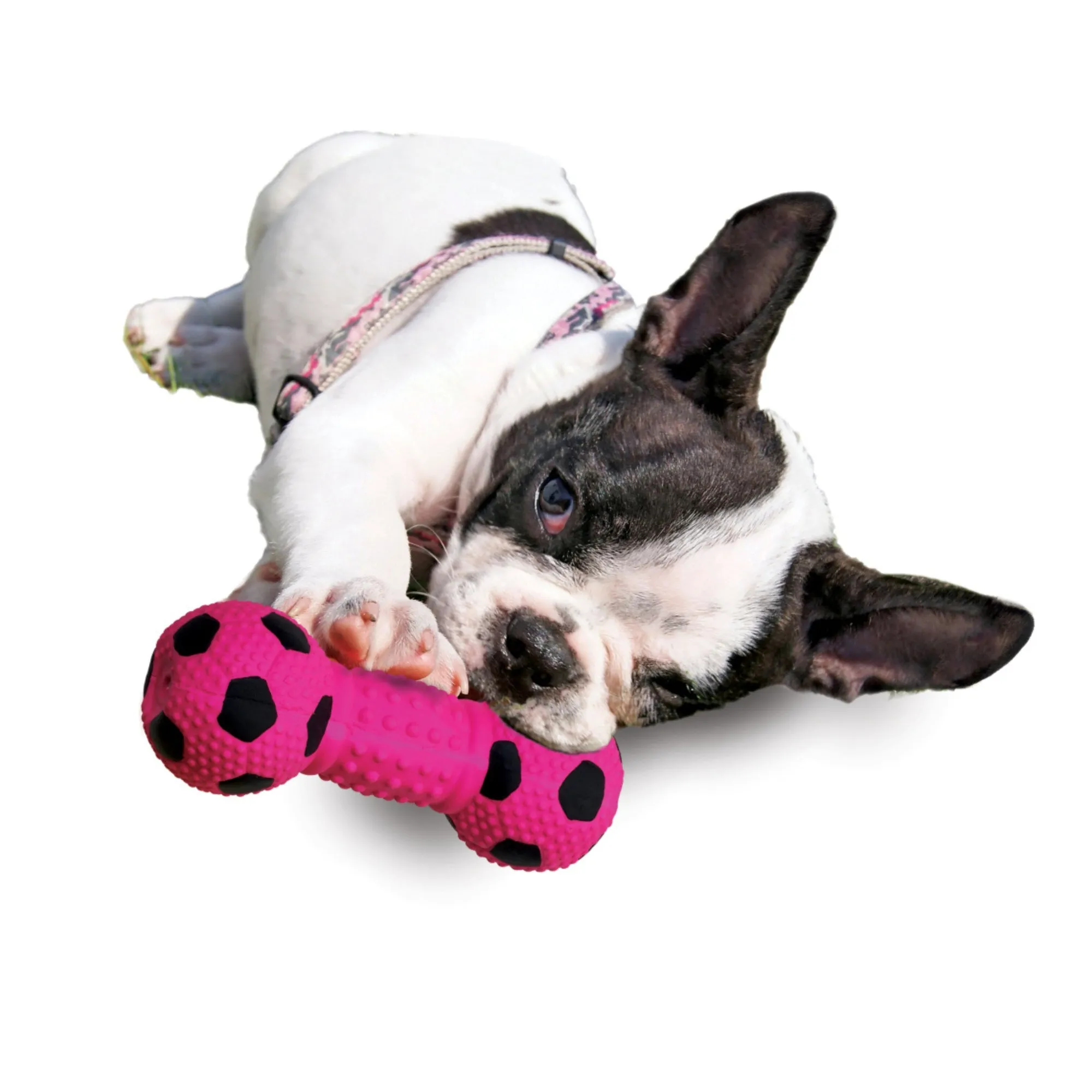 Spot 6 Stuffed Latex Soccer Ball Dumbbell Assorted